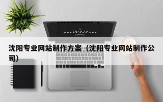 石嘴山沈阳专业网站制作方案（沈阳专业网站制作公司）